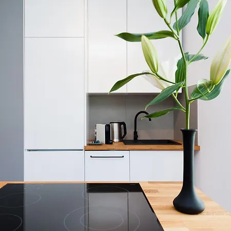 Bed&bath Boulevard Apartment Krakow